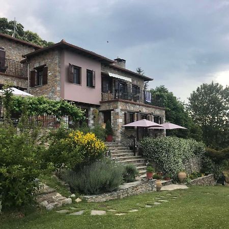 Hotel Maistra Tsagarada Bagian luar foto