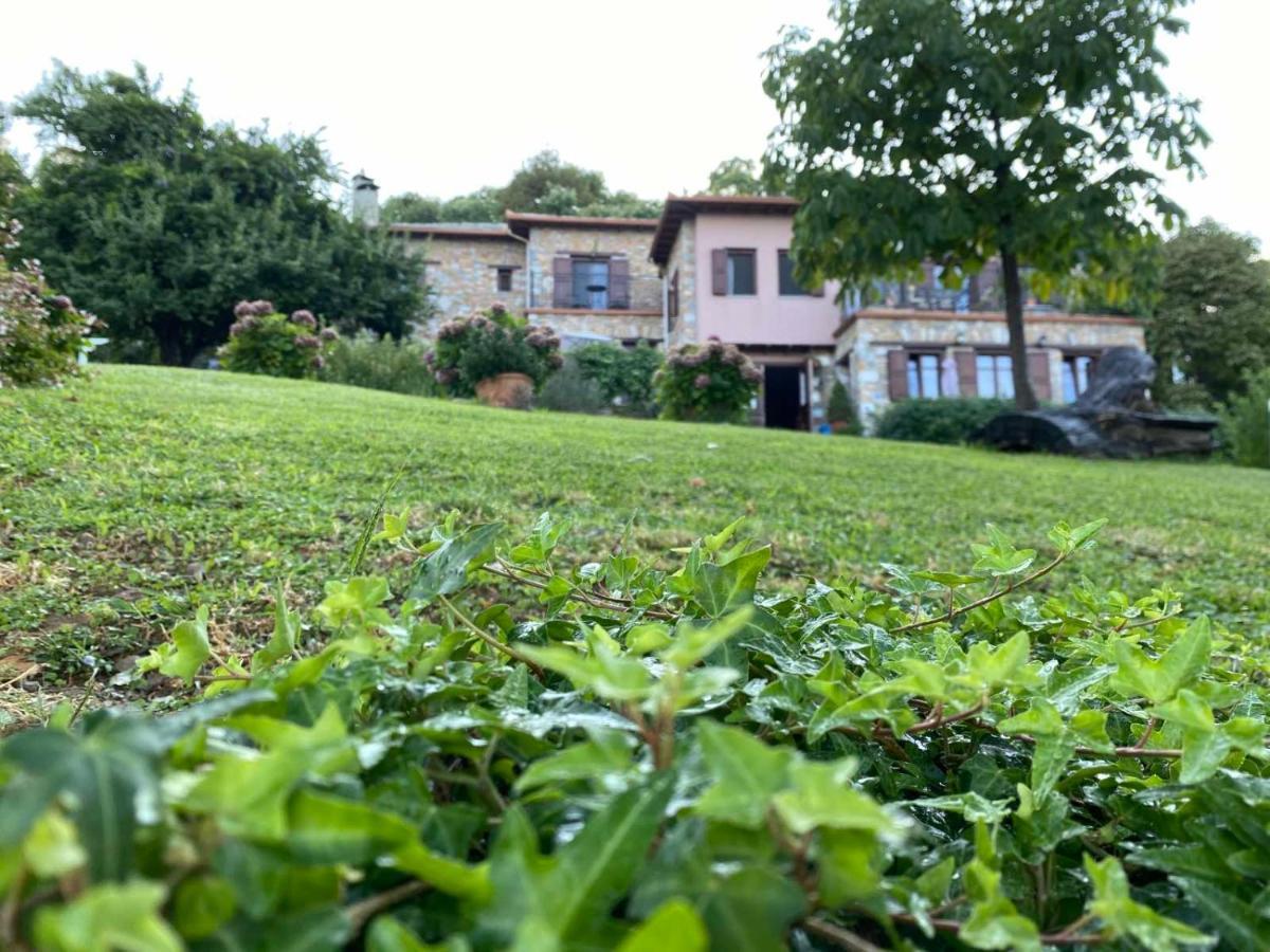 Hotel Maistra Tsagarada Bagian luar foto